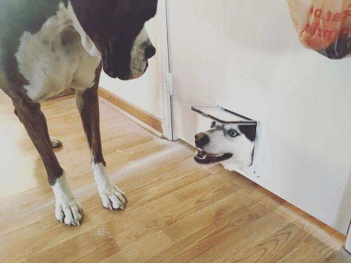 Daily Pictures. Part 1 (63 pics)