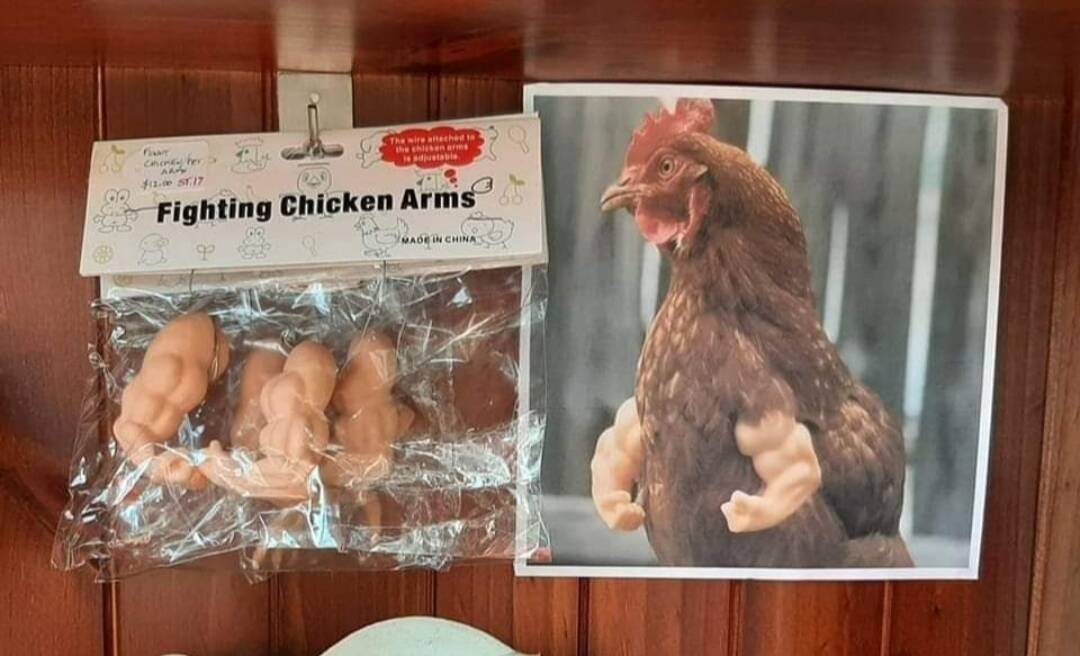 Daily Pictures. Part 1 (63 pics)