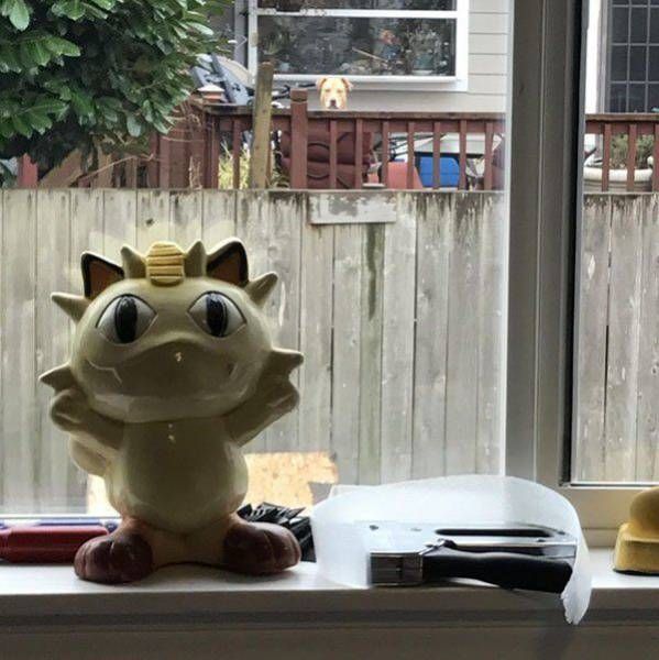 Daily Pictures. Part 1 (63 pics)