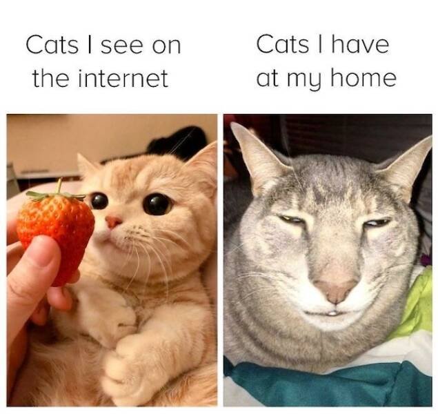 Daily Pictures. Part 2 (62 pics)