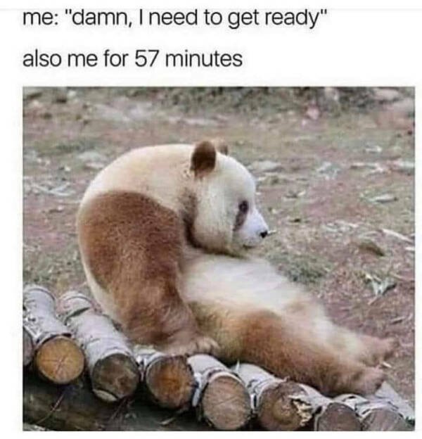 Daily Pictures. Part 2 (62 pics)