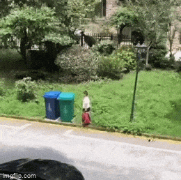 Acid GIFs, January 7 (25 gifs)