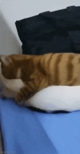 Acid GIFs, January 7 (25 gifs)