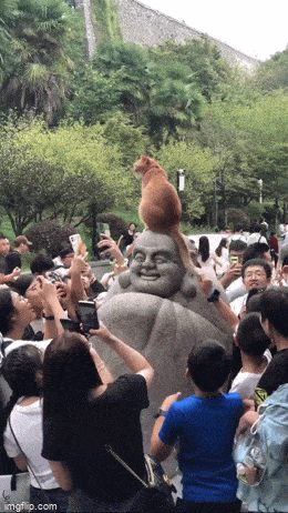 Acid GIFs, January 7 (25 gifs)