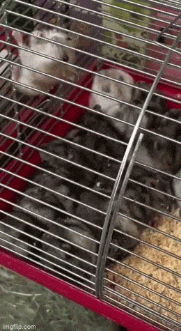 Acid GIFs, January 7 (25 gifs)