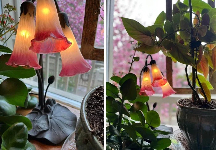 Cool Finds In Thrift Shops (26 pics)