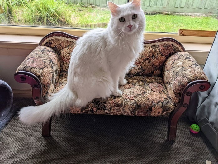 Cool Finds In Thrift Shops (26 pics)