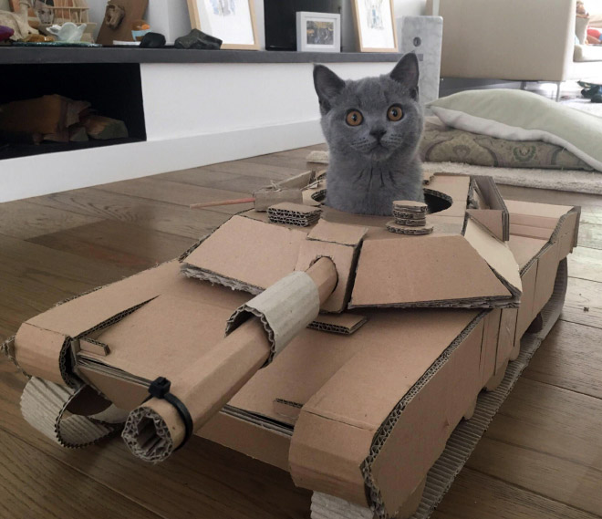 Cats In Tanks (23 pics)