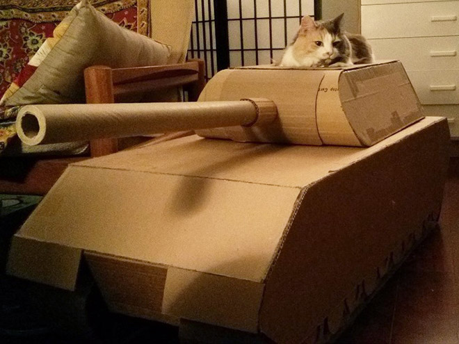 Cats In Tanks (23 pics)
