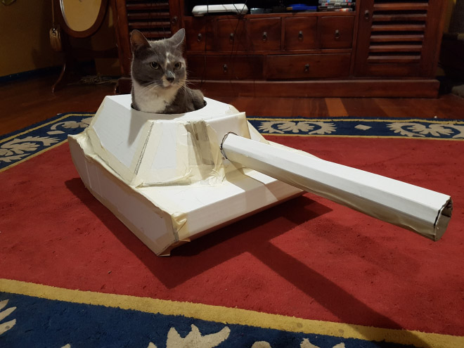 Cats In Tanks (23 pics)