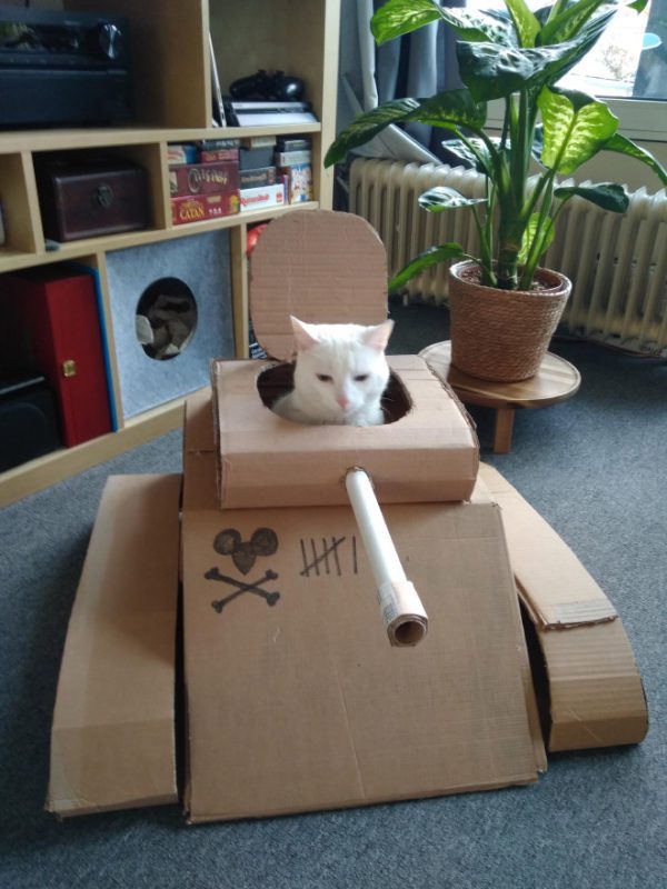 Cats In Tanks (23 pics)