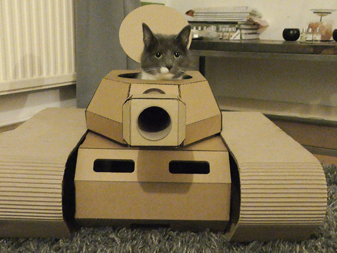 Cats In Tanks (23 pics)