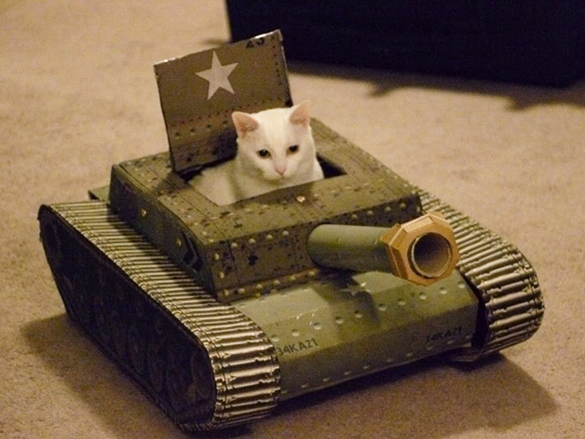 Cats In Tanks (23 pics)