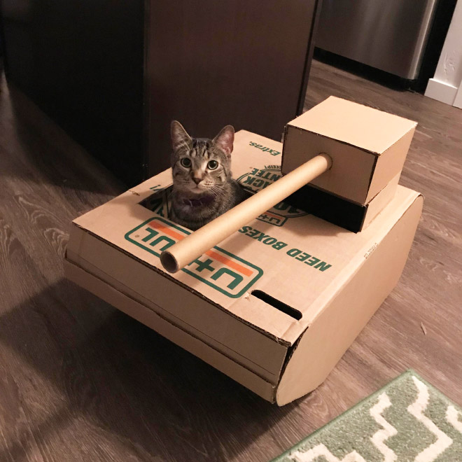 Cats In Tanks (23 pics)