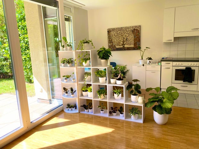 Perfect Space Organization (21 pics)