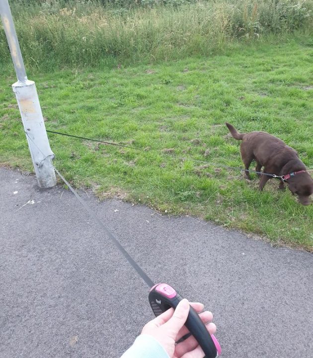 Annoying Situations (18 pics)