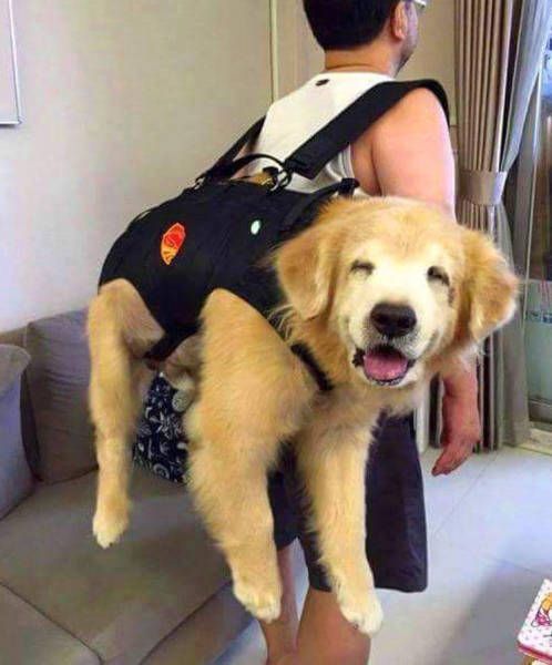 Daily Pictures. Part 1 (63 pics)