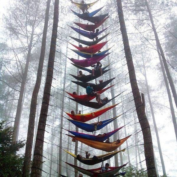 Daily Pictures. Part 1 (63 pics)