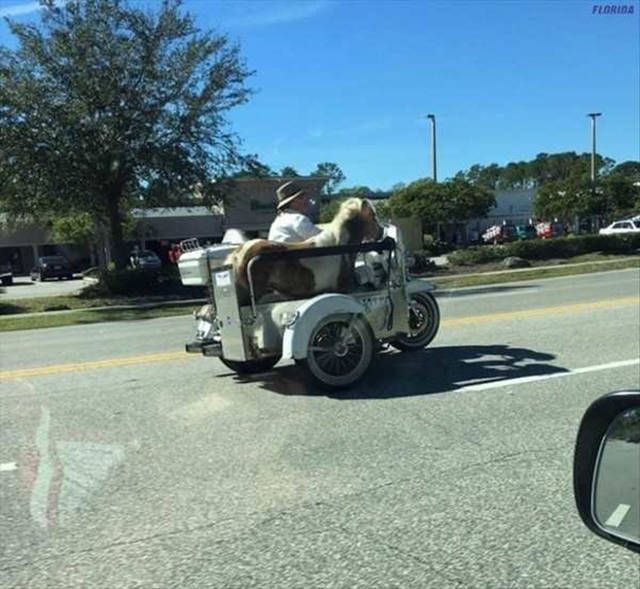 Daily Pictures. Part 1 (63 pics)