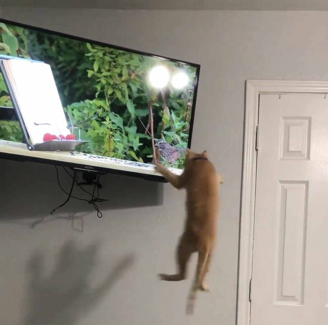 Daily Pictures. Part 1 (63 pics)