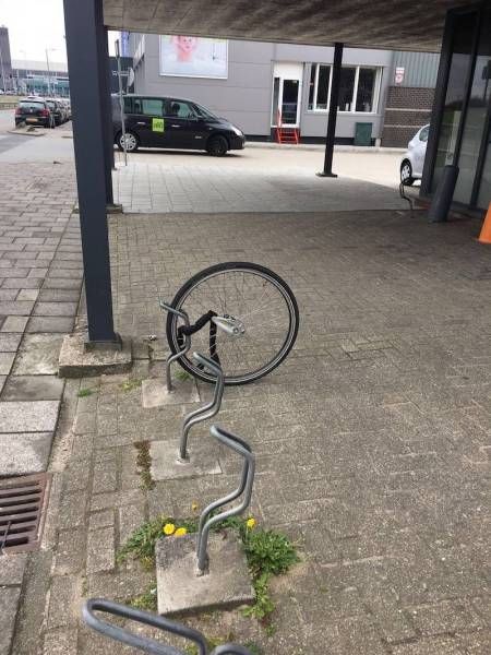 Daily Pictures. Part 1 (63 pics)