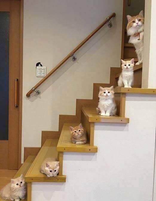 Daily Pictures. Part 2 (62 pics) Daily Pictures. Part 2 (62 pics)