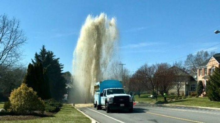 Daily Pictures. Part 1 (63 pics)