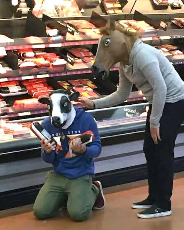 Daily Pictures. Part 2 (62 pics)