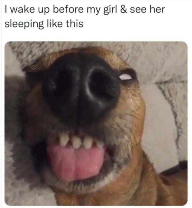 Daily Pictures. Part 2 (62 pics) Daily Pictures. Part 2 (62 pics)