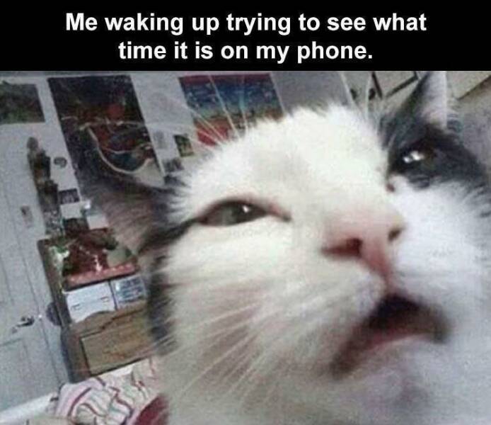 Daily Pictures. Part 2 (62 pics) Daily Pictures. Part 2 (62 pics)