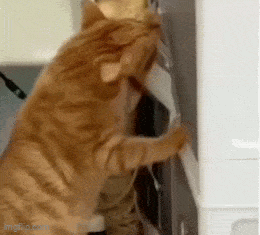 Acid GIFs, January 8 (25 gifs)