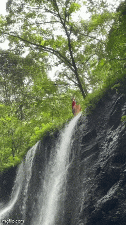 Acid GIFs, January 8 (25 gifs)