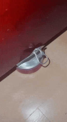 Acid GIFs, January 8 (25 gifs)