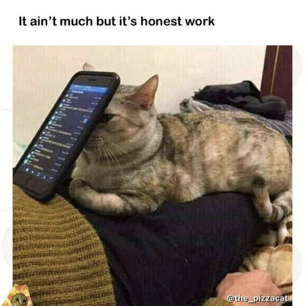 Random Memes (16 pics) Random Memes (16 pics)