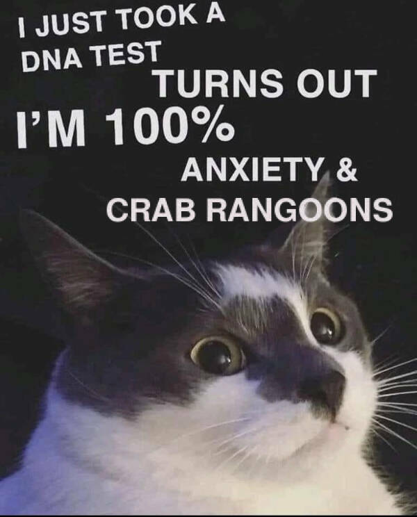 Random Memes (16 pics) Random Memes (16 pics)