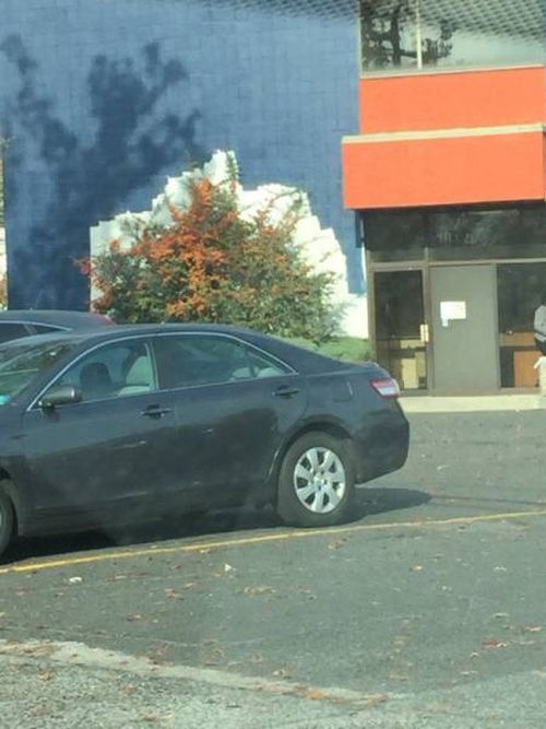 Daily Pictures. Part 1 (64 pics) Daily Pictures. Part 1 (64 pics)