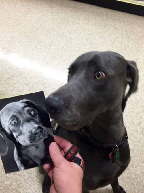 Daily Pictures. Part 1 (64 pics) Daily Pictures. Part 1 (64 pics)