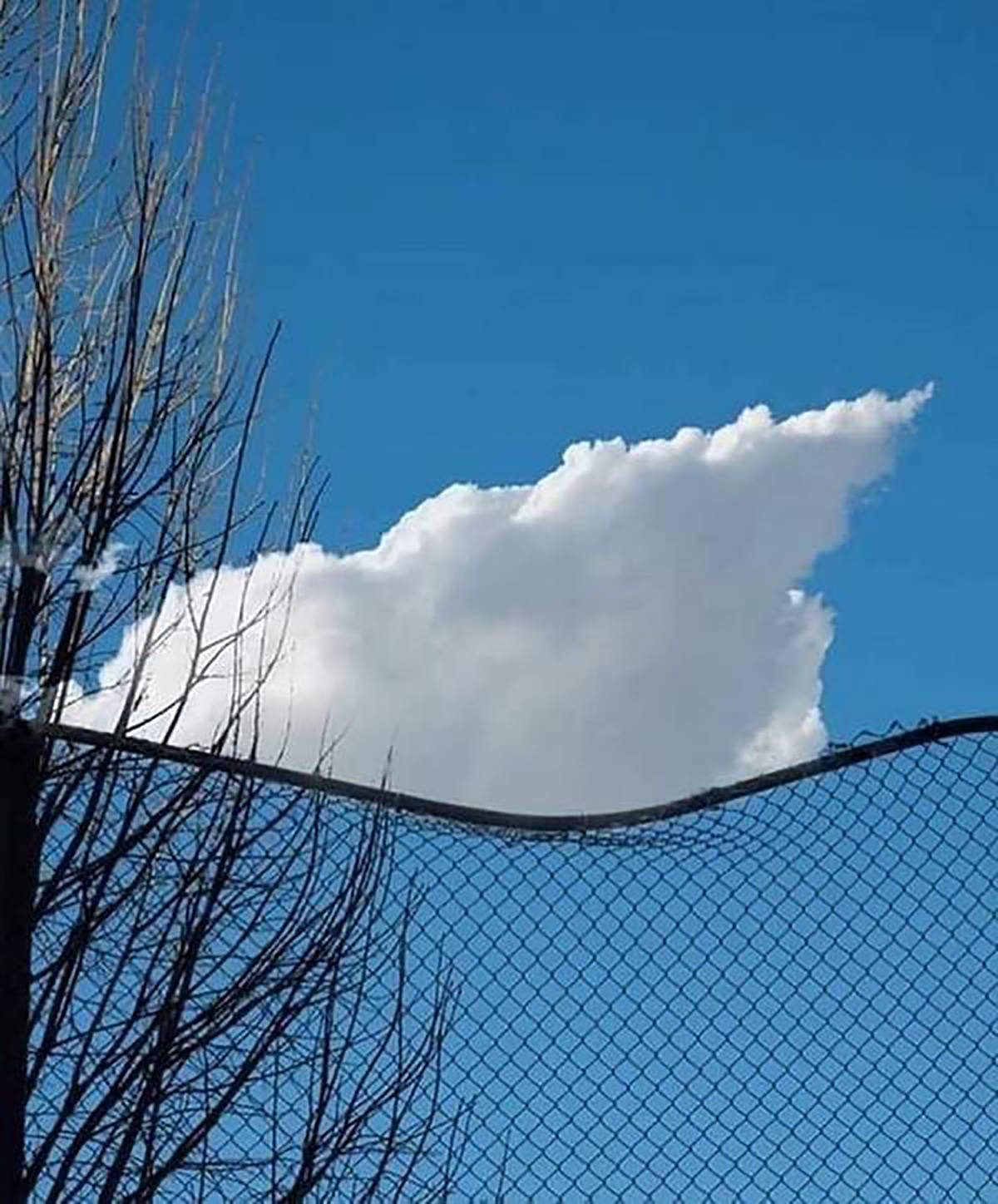 Daily Pictures. Part 1 (64 pics) Daily Pictures. Part 1 (64 pics)