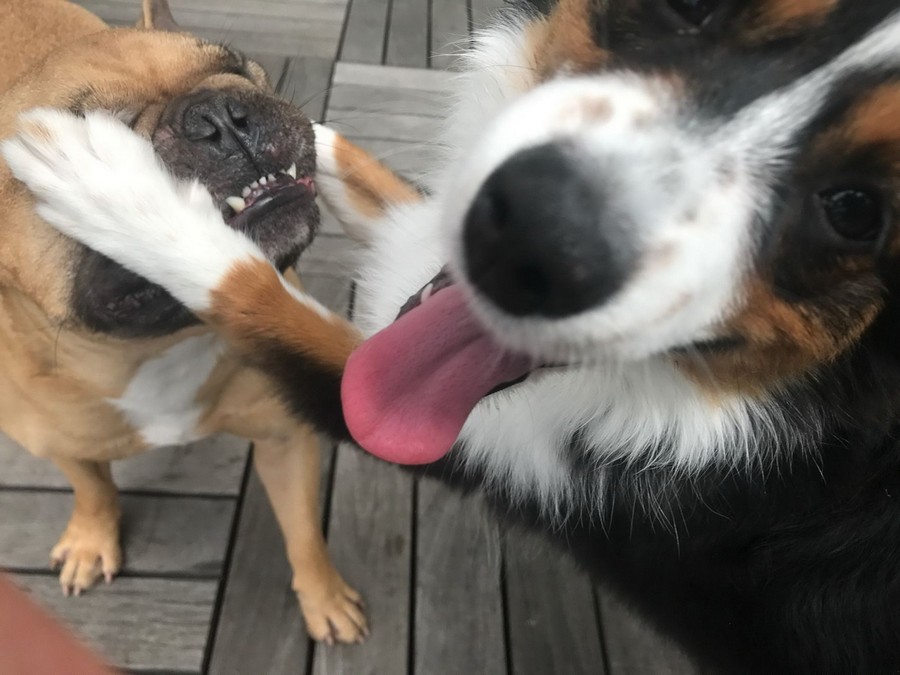 Daily Pictures. Part 1 (64 pics) Daily Pictures. Part 1 (64 pics)