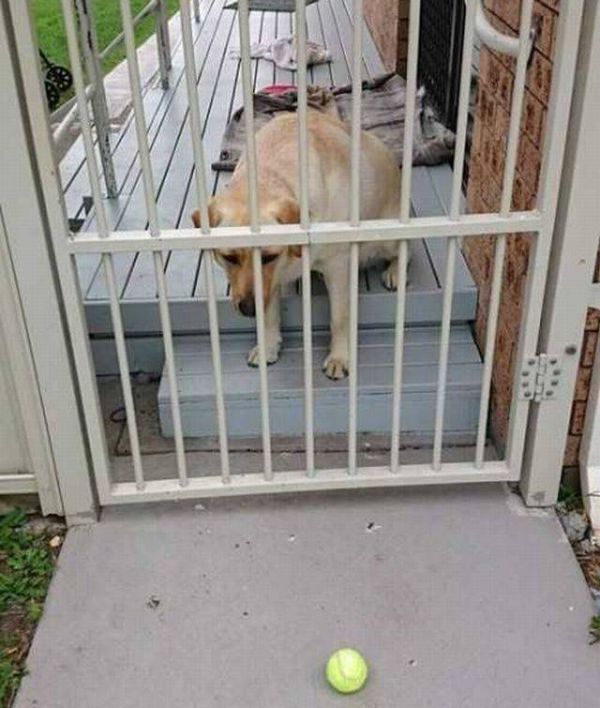 Daily Pictures. Part 1 (64 pics) Daily Pictures. Part 1 (64 pics)