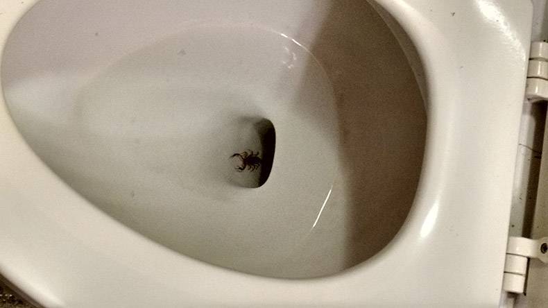 Daily Pictures. Part 1 (64 pics) Daily Pictures. Part 1 (64 pics)