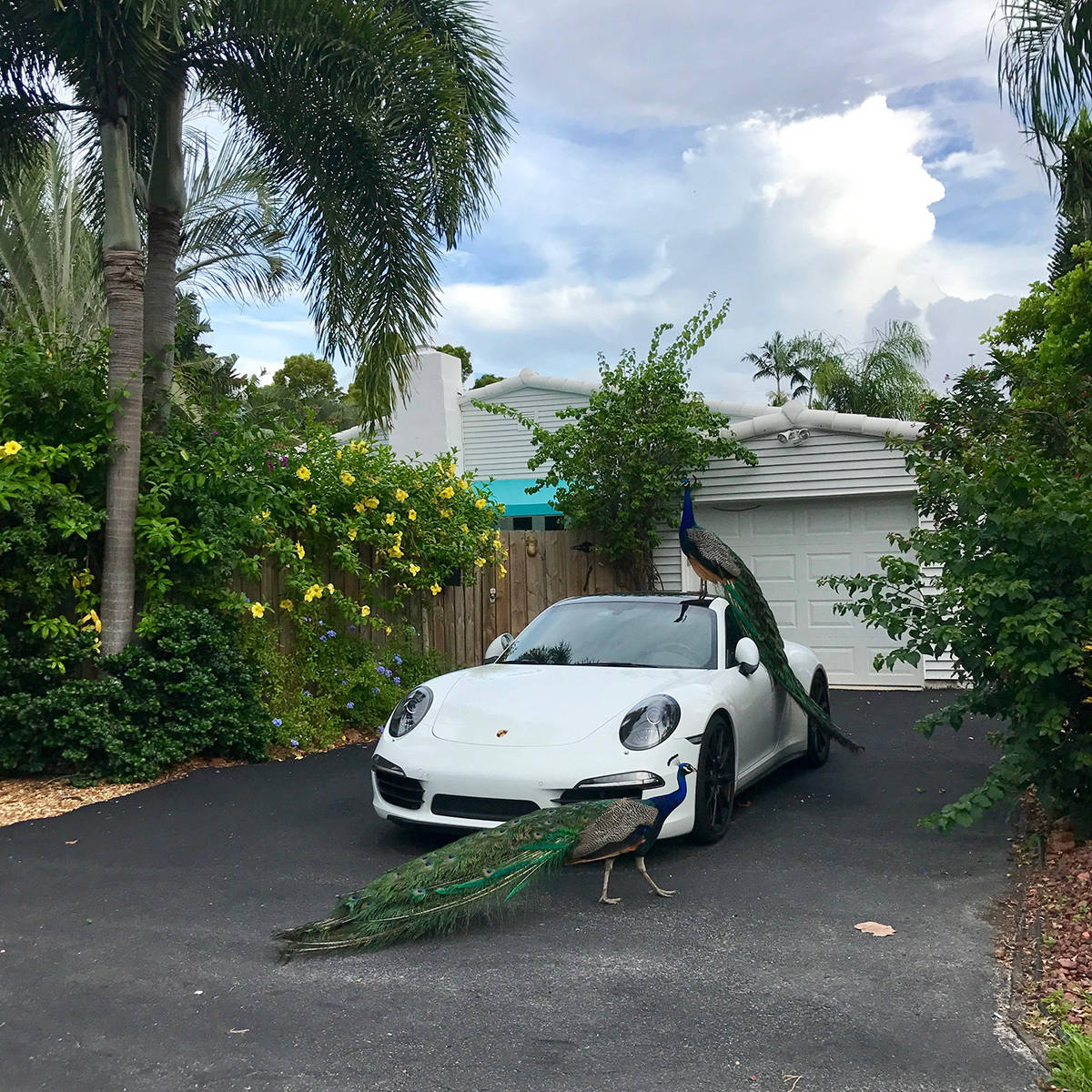 Daily Pictures. Part 1 (64 pics) Daily Pictures. Part 1 (64 pics)