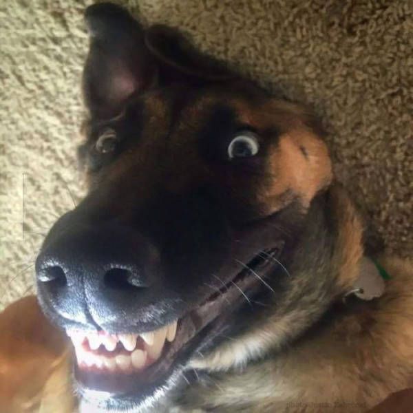 Daily Pictures. Part 2 (63 pics) Daily Pictures. Part 2 (63 pics)