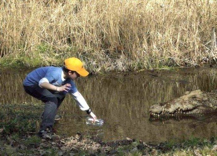 Daily Pictures. Part 1 (64 pics) Daily Pictures. Part 1 (64 pics)