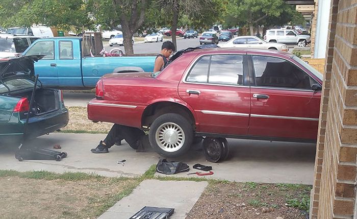 Daily Pictures. Part 2 (63 pics) Daily Pictures. Part 2 (63 pics)