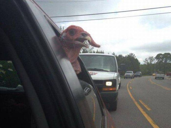 Daily Pictures. Part 1 (64 pics) Daily Pictures. Part 1 (64 pics)