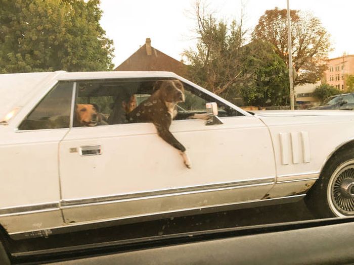 Daily Pictures. Part 2 (63 pics) Daily Pictures. Part 2 (63 pics)