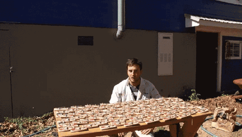 Acid GIFs, January 9 (25 gifs) Acid GIFs, January 9 (25 gifs)