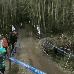 Acid GIFs, January 9 (25 gifs) Acid GIFs, January 9 (25 gifs)