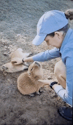 Acid GIFs, January 9 (25 gifs) Acid GIFs, January 9 (25 gifs)